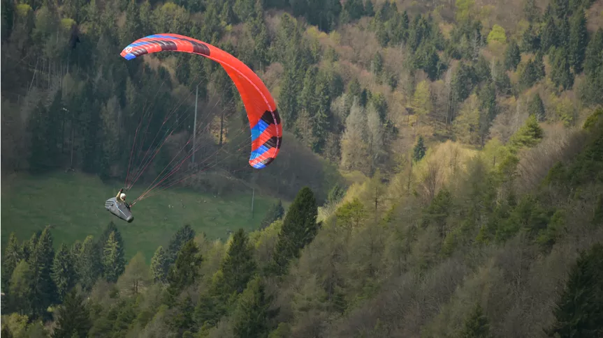 Tenor 2 light farbe 2