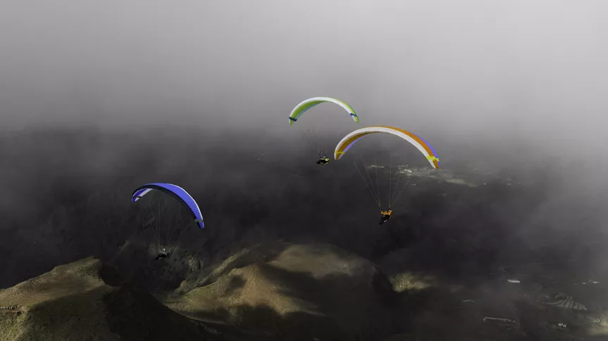 Mentor 7